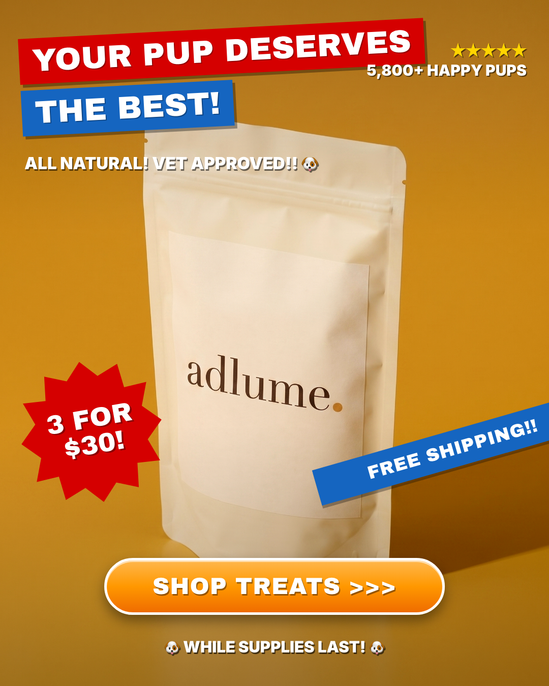 A dog treats brand's 2020 ad rebuilt as a bright playful Adlume ad frame